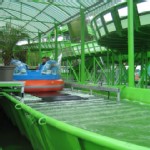 Spinning Raft