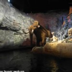 Dark Water Ride