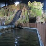 Flume Ride