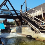 Splash Battle